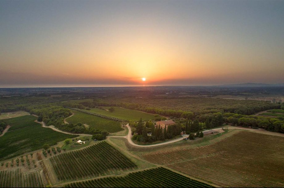 INSOGLIO DEL CINGHIALE E PINO DI BISERNO , LE ORIGINI