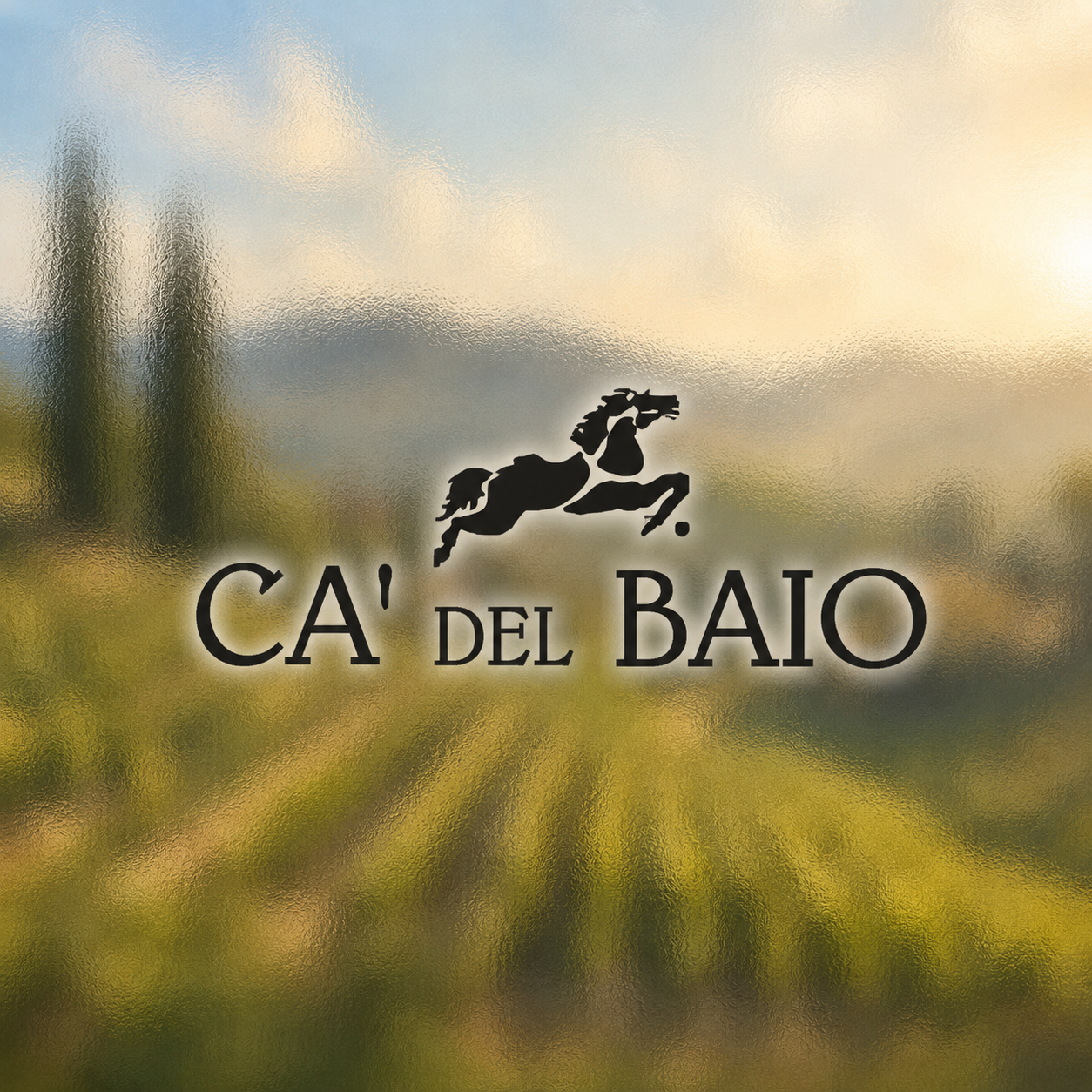 Ca' del Baio