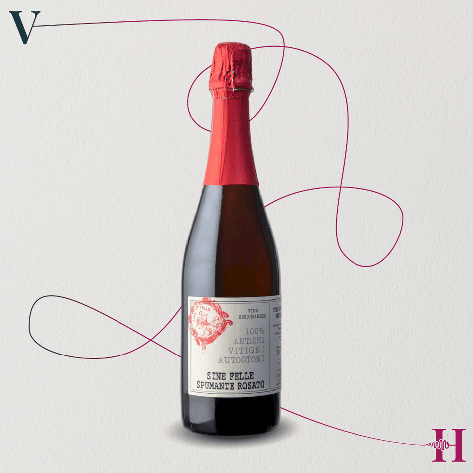 Frizzante Canaiolo Rosato – Podere Casaccia – 2025