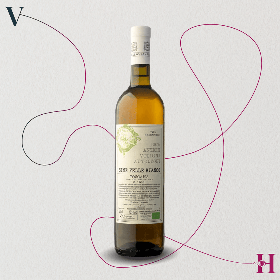 Sine Felle Bianco – Podere Casaccia – 2023