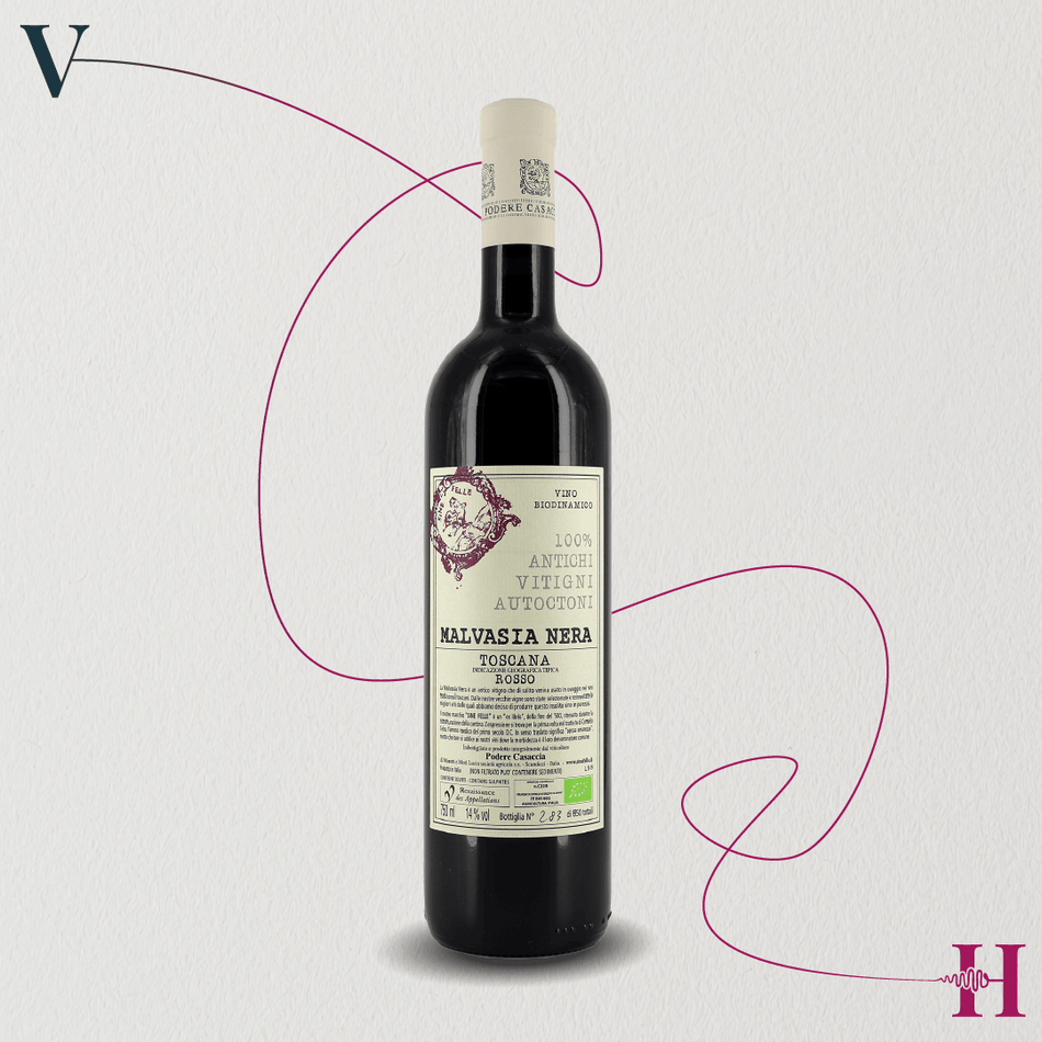 Malvasia Nera IGT – Podere Casaccia – 2023