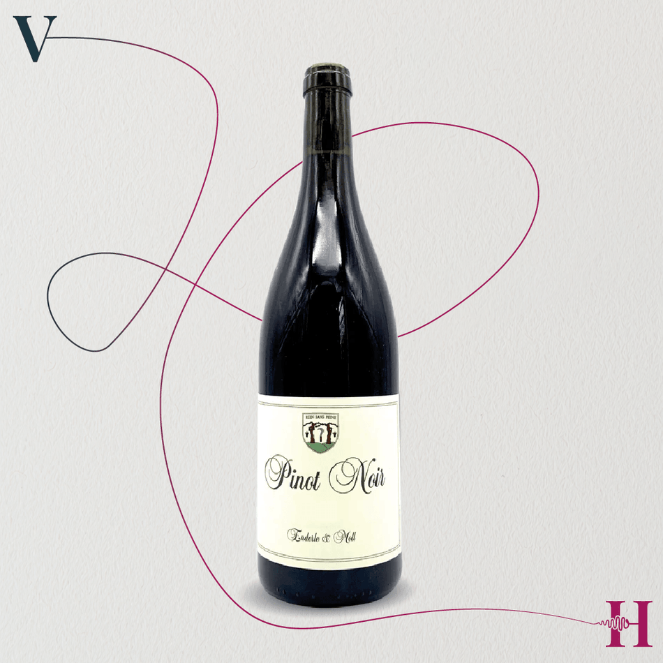 Pinot Noir Basis – Enderle & Moll – 2023