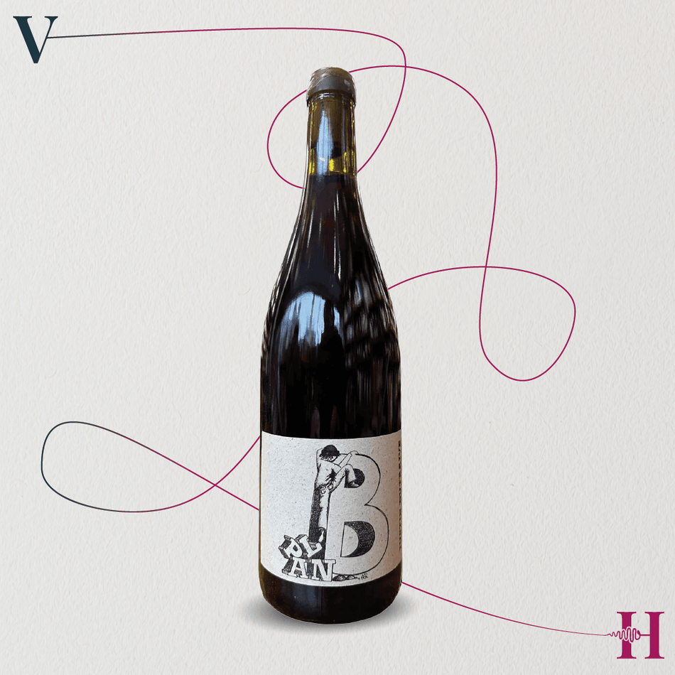 Plan B Beaujolais – Justin Dutraive – 2023