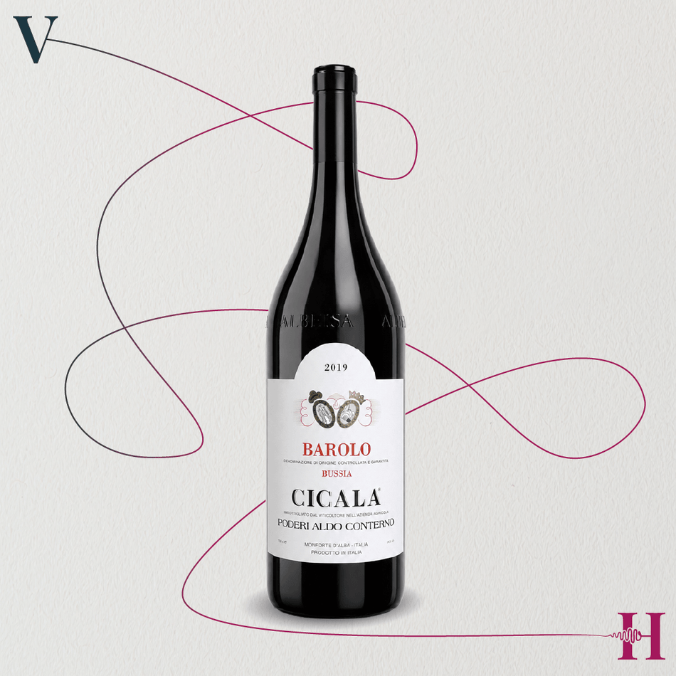 Barolo Bussia Cicala Aldo Conterno 2019