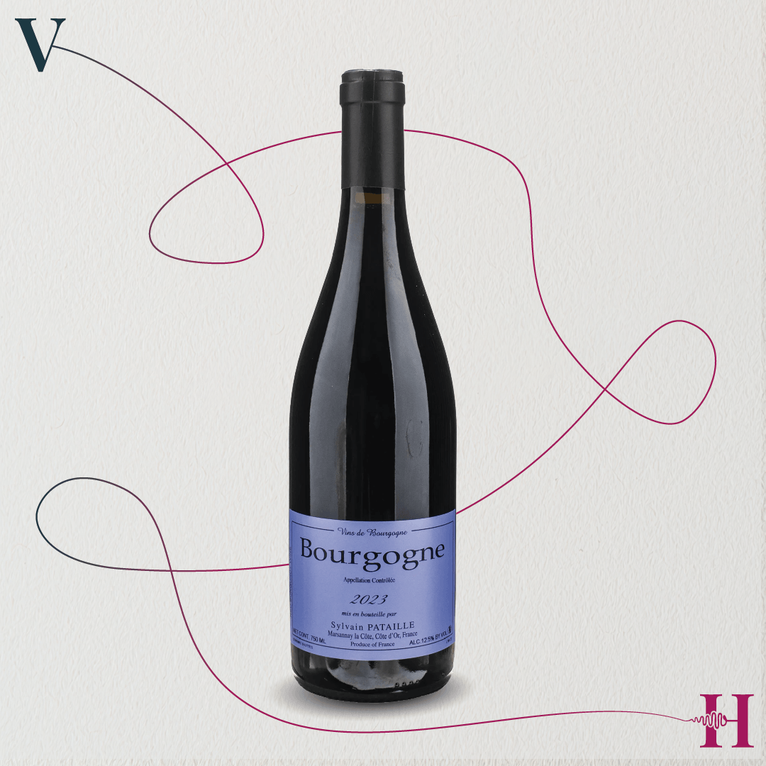 Bourgogne Rouge – Sylvain Pataille – 2023