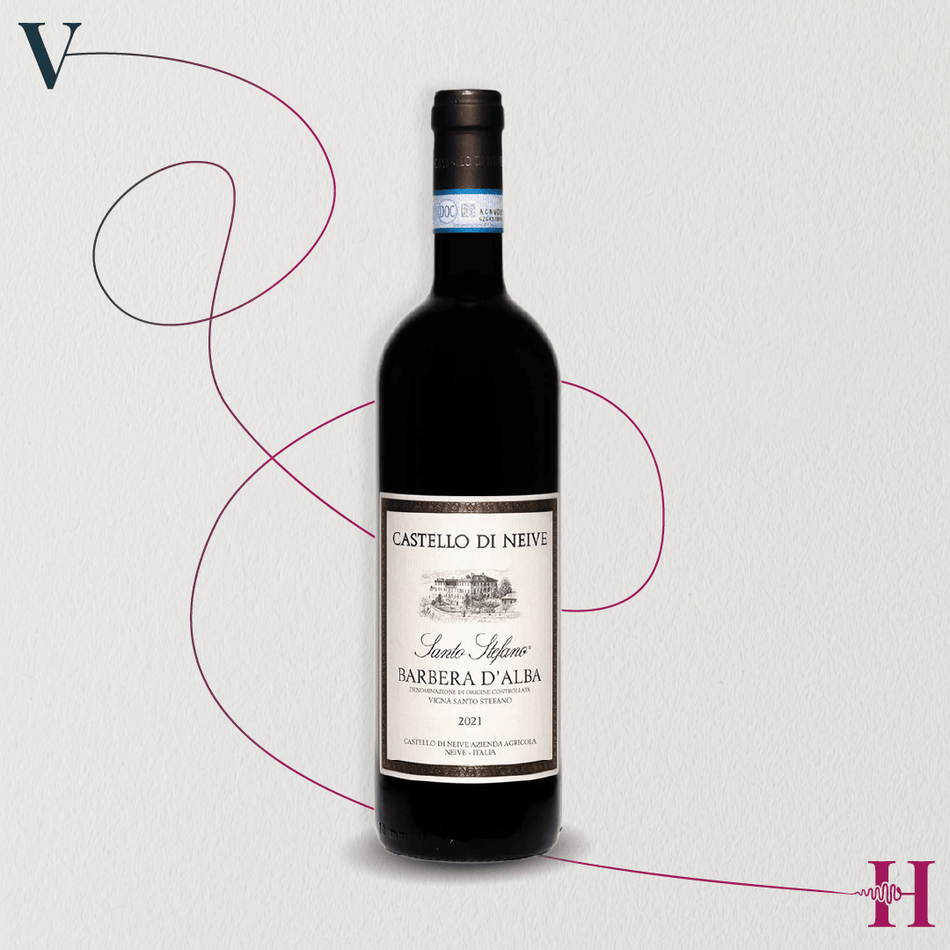 Barbera d'Alba 2021 – Castello di Neive