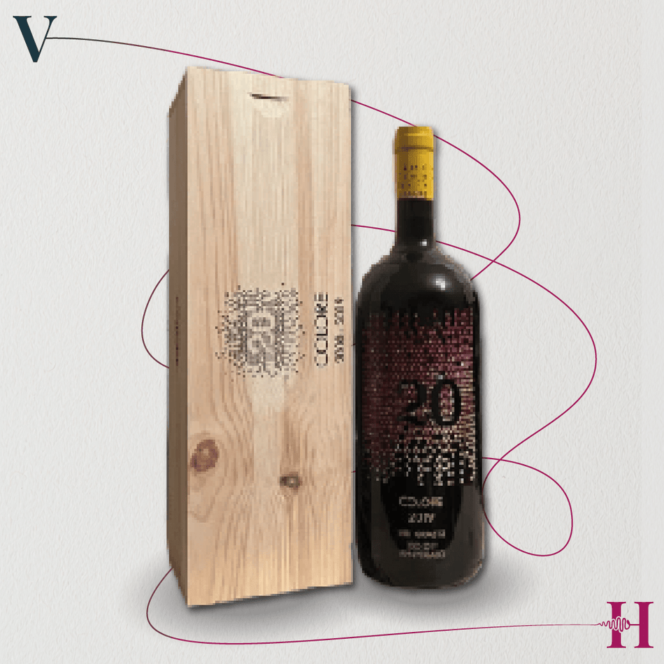 Testamatta Magnum Bibi Graetz 2019