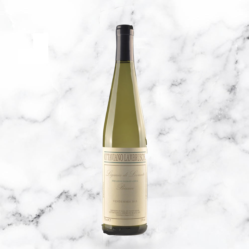 VERMENTINO LAMBRUSCHI